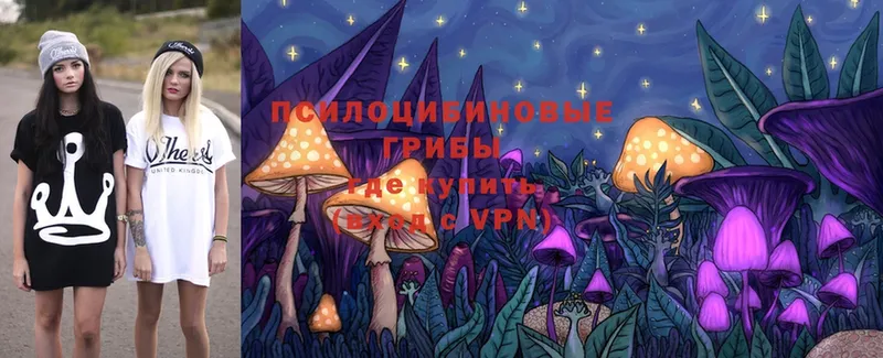 МЕГА маркетплейс  Ковдор  Псилоцибиновые грибы MAGIC MUSHROOMS  купить наркотики цена 